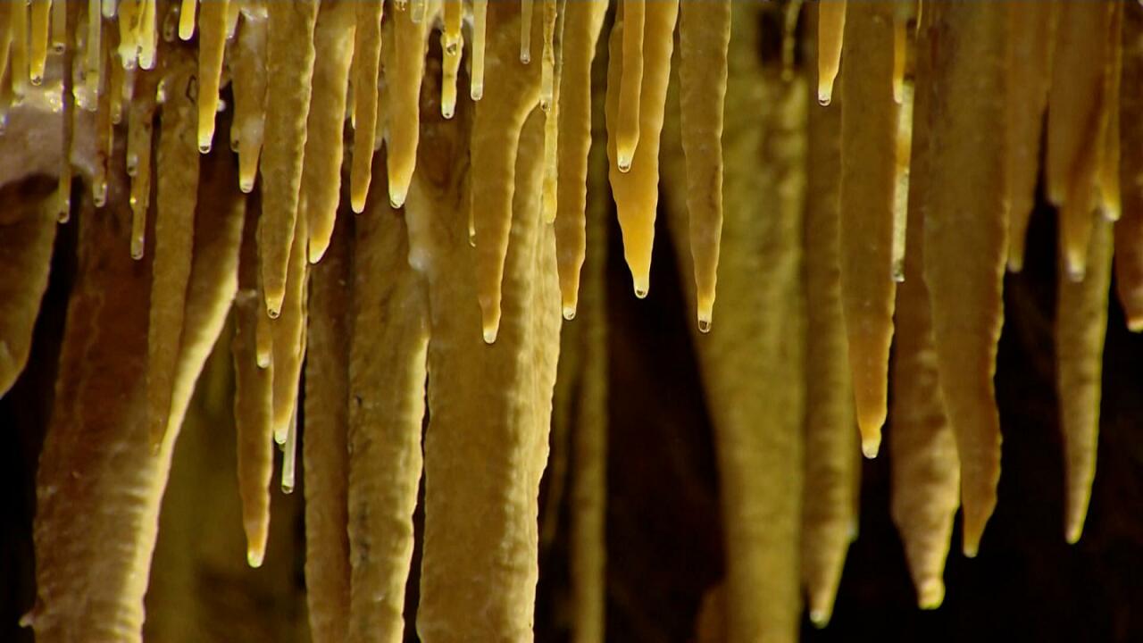 Kuinka 18 000 vuotta vanha stalagmiitti muuttaa maatalouden historiaa: tutkijat ovat järkyttyneitä