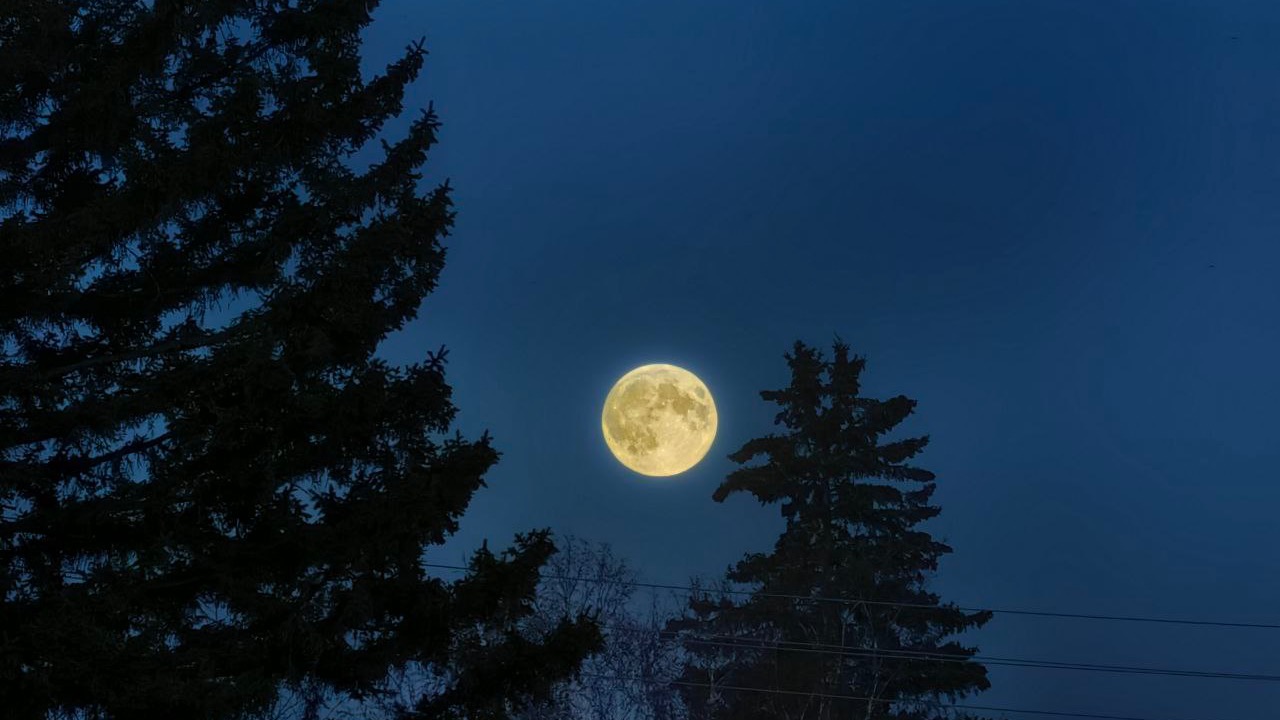 ”Suden kuu”, Quadrantidien huippu – unohtumaton tähtitieteellinen ilmiö tammikuussa 2026.