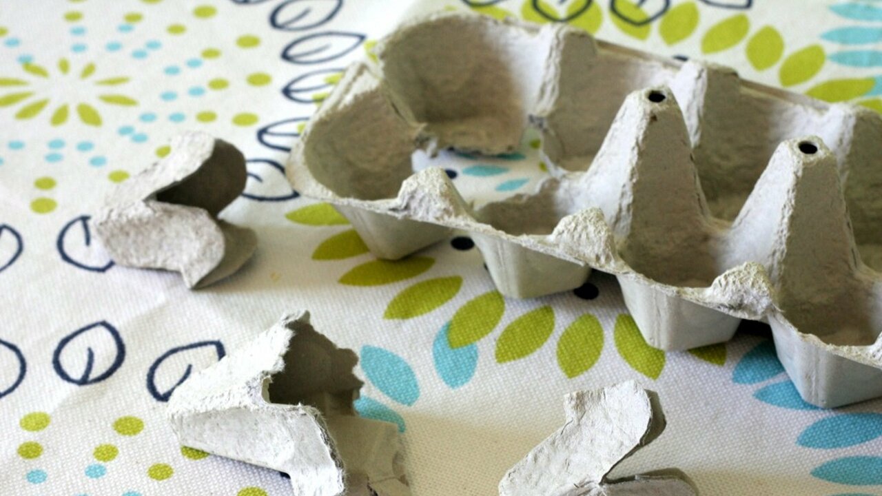 Spiraali ei enää tehoa: kuinka tehdä itse kartonkipakkauksesta munakoteloista hyönteiskarkotin