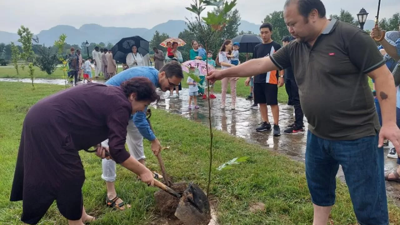 Tutkijat eivät voi uskoa sitä: Kiina on istuttanut niin paljon puita, että se on muuttanut luonnon vesikierron 20 vuodessa.