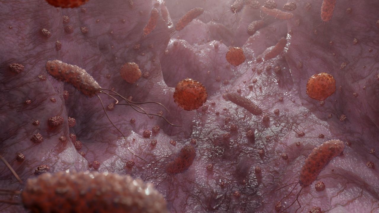 Tutkijat ovat löytäneet mahdollisen tavan torjua sairaaloissa potilaita vaivaavaa sieni-infektiota.