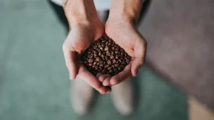 Kuinka kahvia tulisi säilyttää kotona, jotta sen maku säilyy, baristan mukaan: ”Paahdetuilla pavuilla on neljä vihollista”.