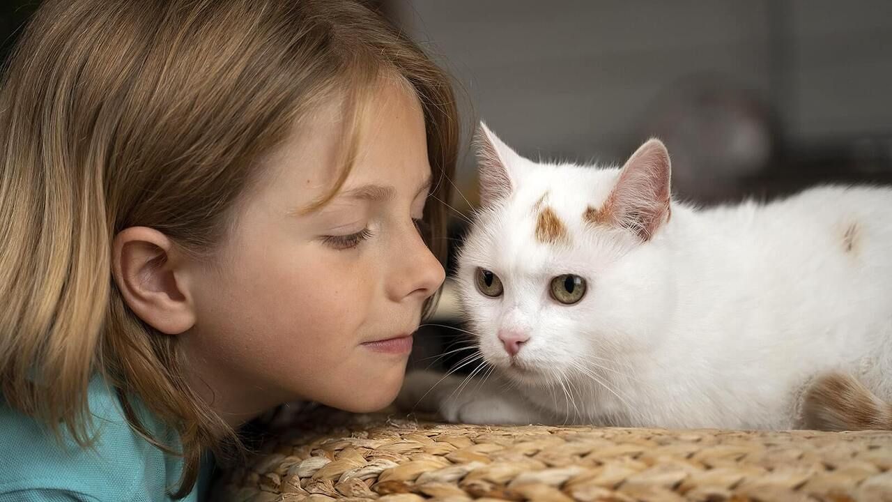 Eläinlääkärit varoittavat ihmisiä, jotka asuvat kodeissa, joissa on kissoja ja lapsia.