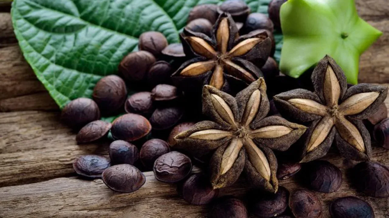 Sacha inchi: alkuperä, ominaisuudet, hyödyt ja käyttö ruoanlaitossa.