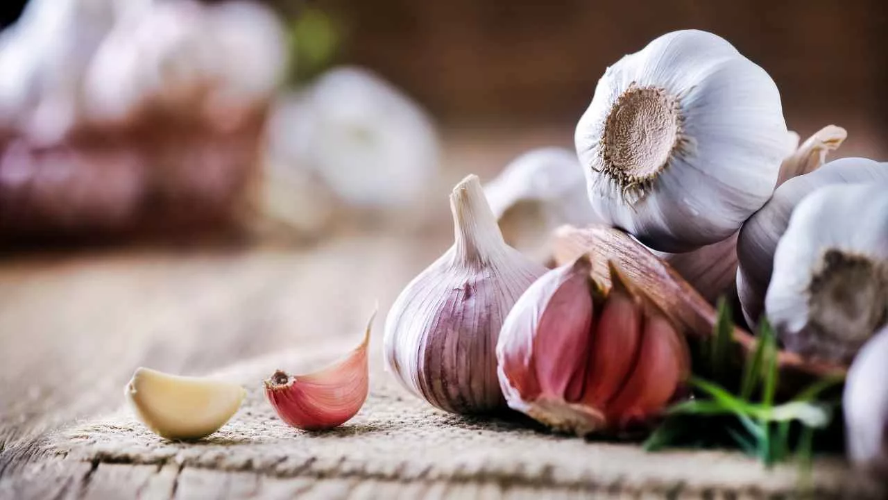 Valkosipulin huuhtelu wc-pönttöön: mitä se tekee ja miksi se on suositeltavaa.