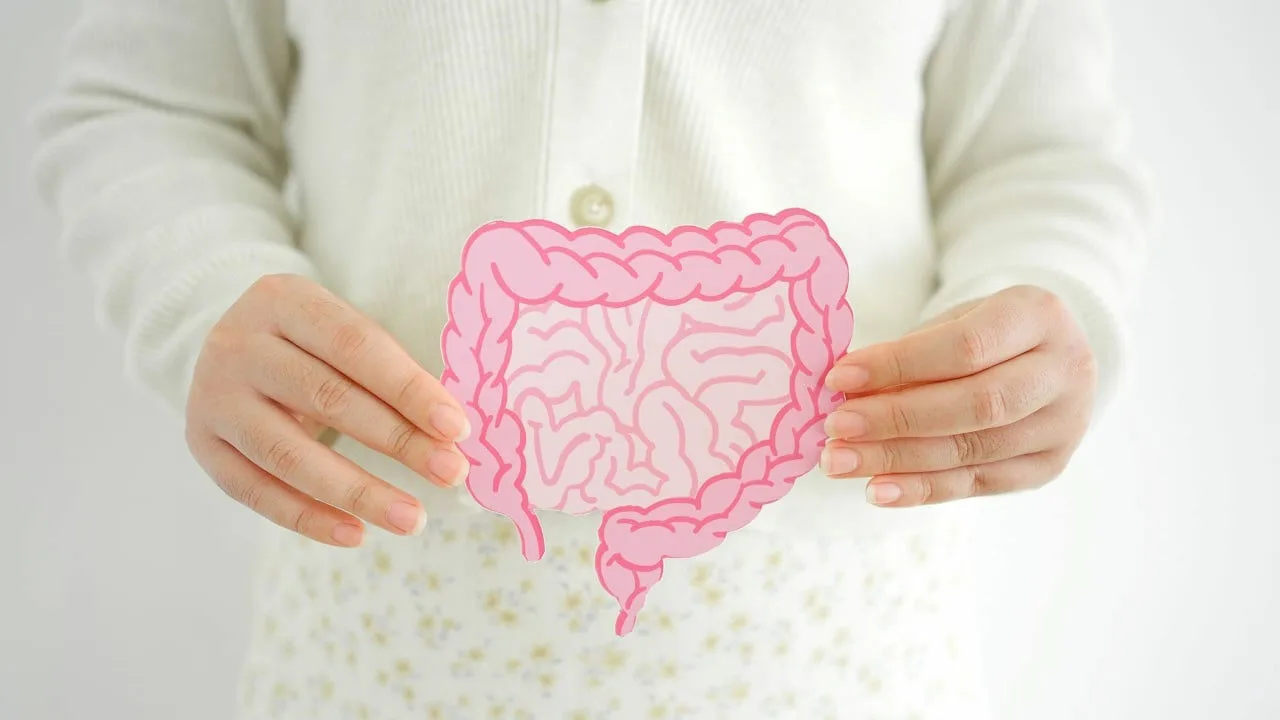 Hyvä ruoansulatus salaisuudet huolimatta lomalla tapahtuvista ylilyönneistä.