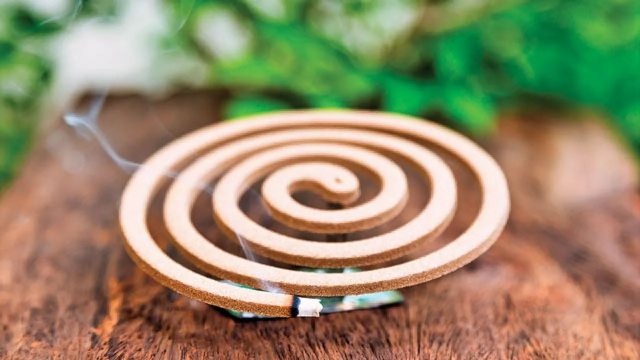 Kuinka tehdä itse moskiittospiraali muutamasta ainesosasta, jotta se karkottaa moskiitot kesällä.