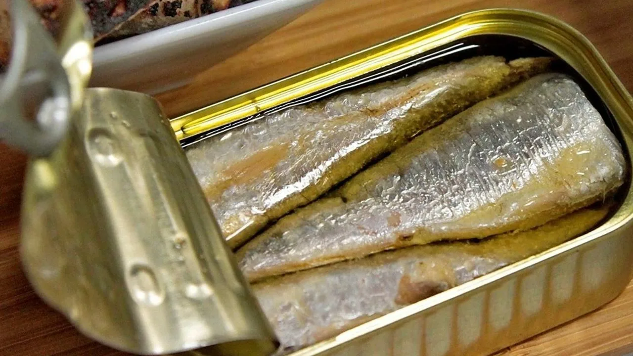 Se on sama kala, mutta sen ravintoarvo on erilainen: miksi tuoreiden sardiinien syöminen eroaa säilykkeiden syömisestä?