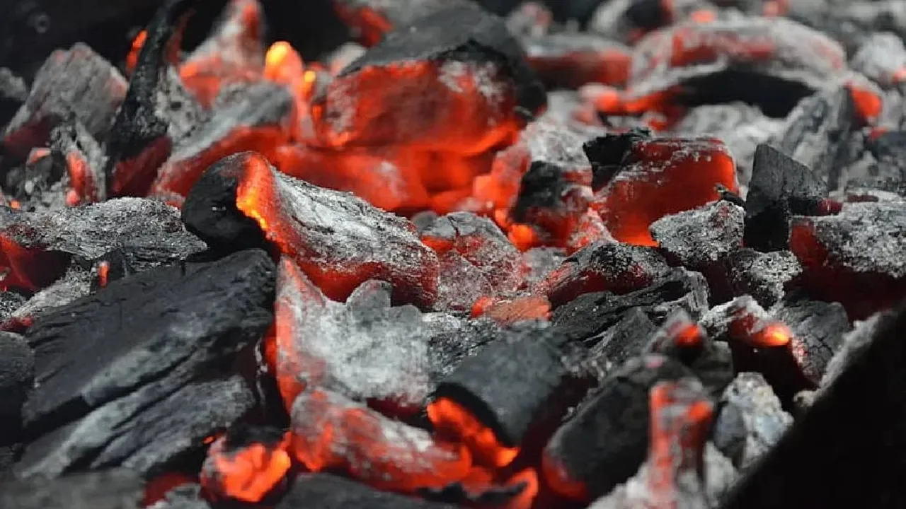 Ihanteellinen jouluaattona paistamiseen: miksi hiiliin ripotellaan suolaa?