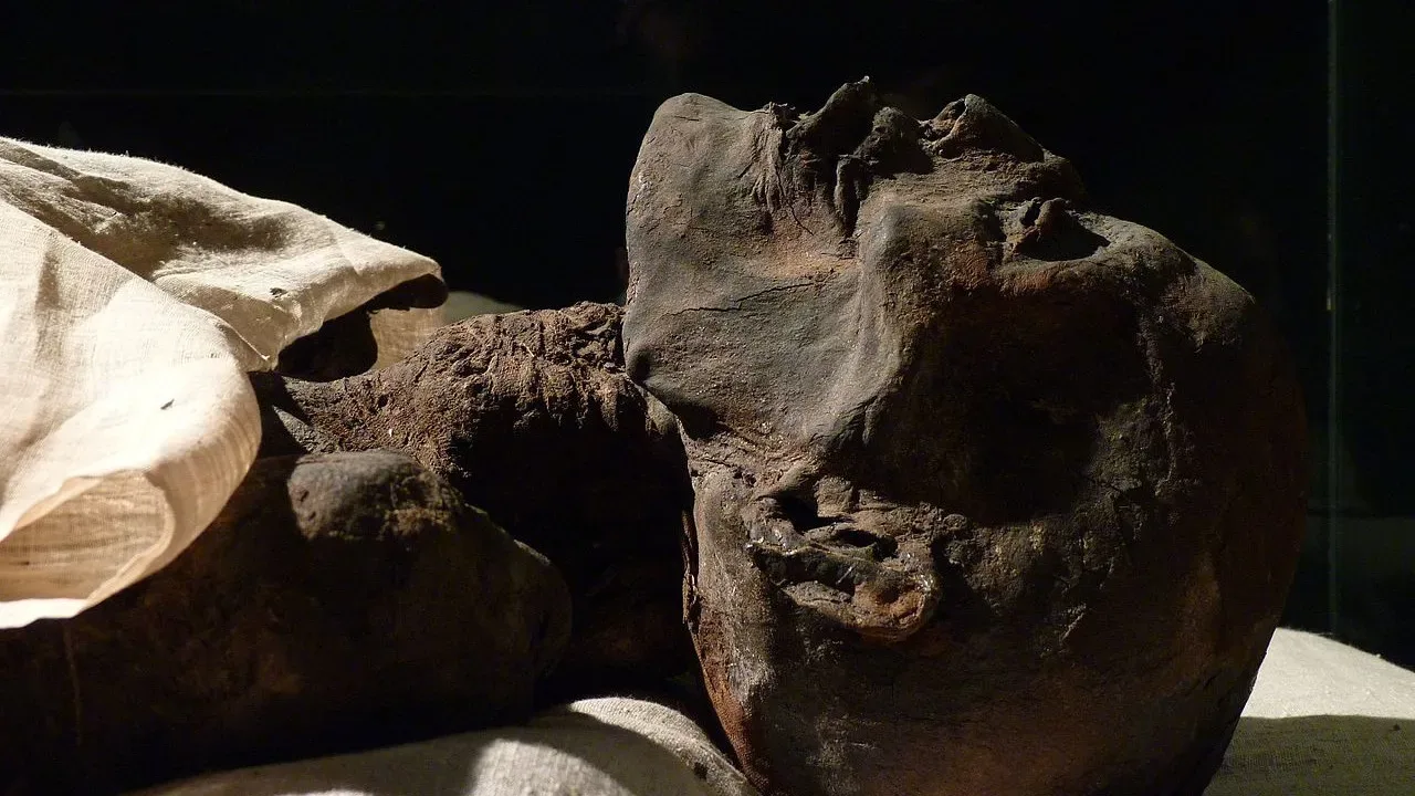 Tutkijat ovat selvittäneet, miksi esihistoriallisten Atacaman muumioiden aivot olivat tavallista pienemmät.