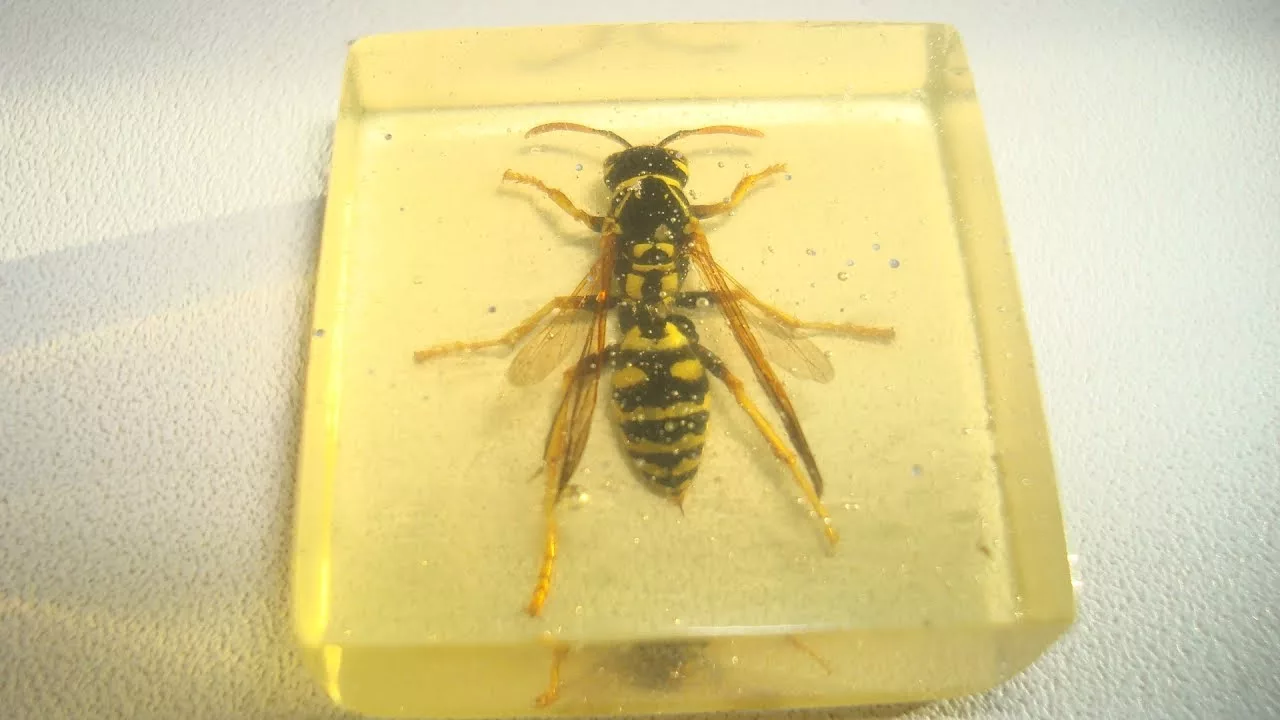 Tutkijat eivät voi uskoa sitä: maasta on löydetty uusi eläinlaji, jonka ikä on yli 100 miljoonaa vuotta.