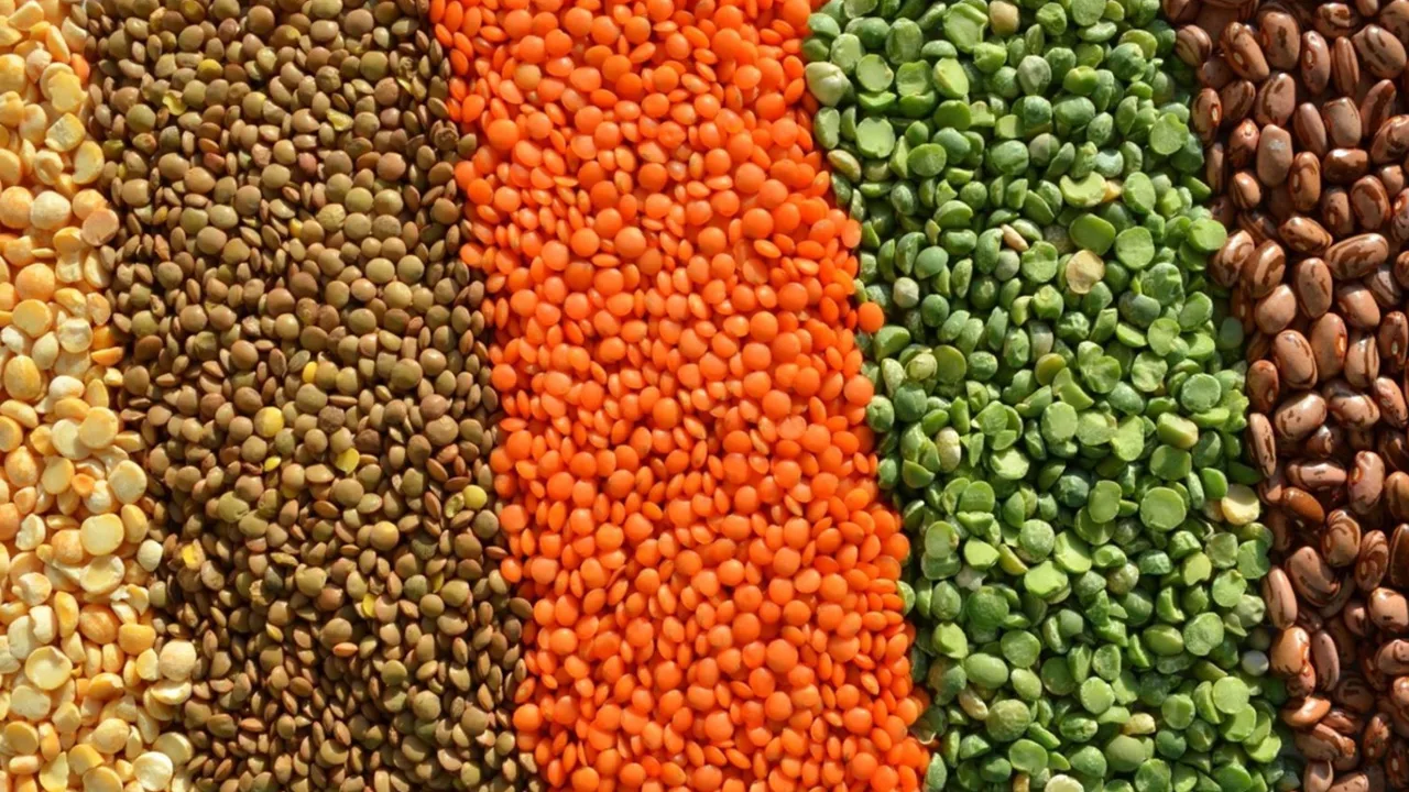 Ravitsemusterapeutti: ”Pienen määrän etikan lisääminen linsseihin tai appelsiinin syöminen jälkiruoaksi auttaa rautaa imeytymään paremmin.”