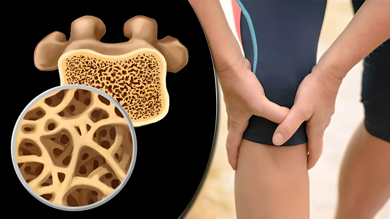 He selvittivät, miksi osteoartroosissa rustokudos tuhoutuu ja miten sitä voidaan palauttaa.