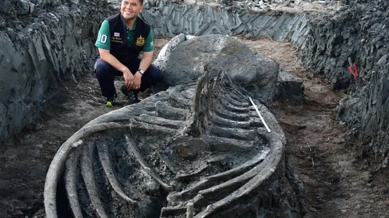 Tutkijat olivat järkyttyneitä huomatessaan, että maailman tuoreimmat mammutin fossiilit olivatkin peräisin valaista.