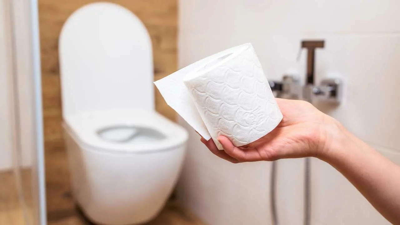 Liian myöhään tajusin, miksi wc-paperia ei saa heittää wc-pönttöön.