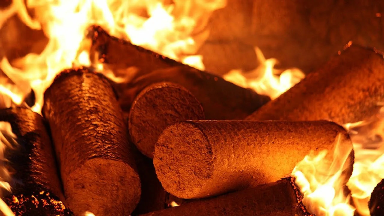 Perinteinen takka: mielenkiintoinen temppu, jonka avulla ikäihmiset voivat käyttää pellettejä vaivattomasti.