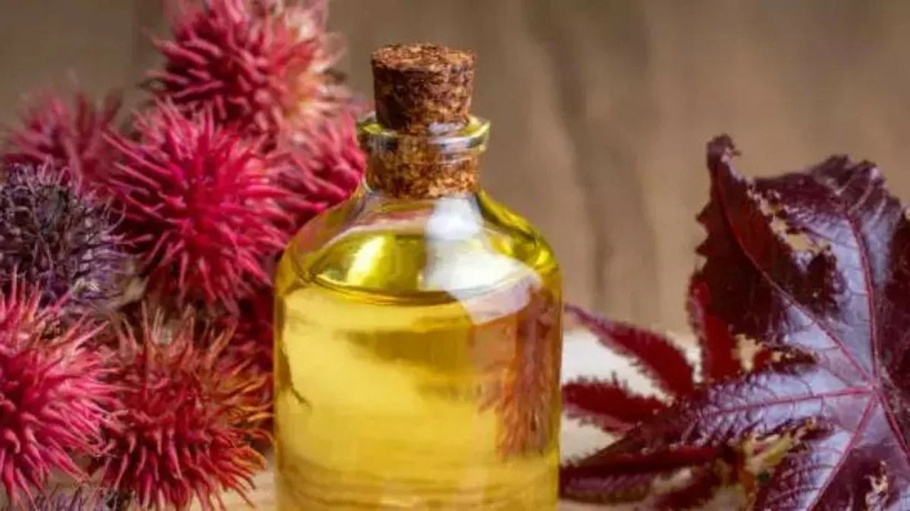 Kuinka kasvattaa kulmakarvat luonnollisilla ainesosilla