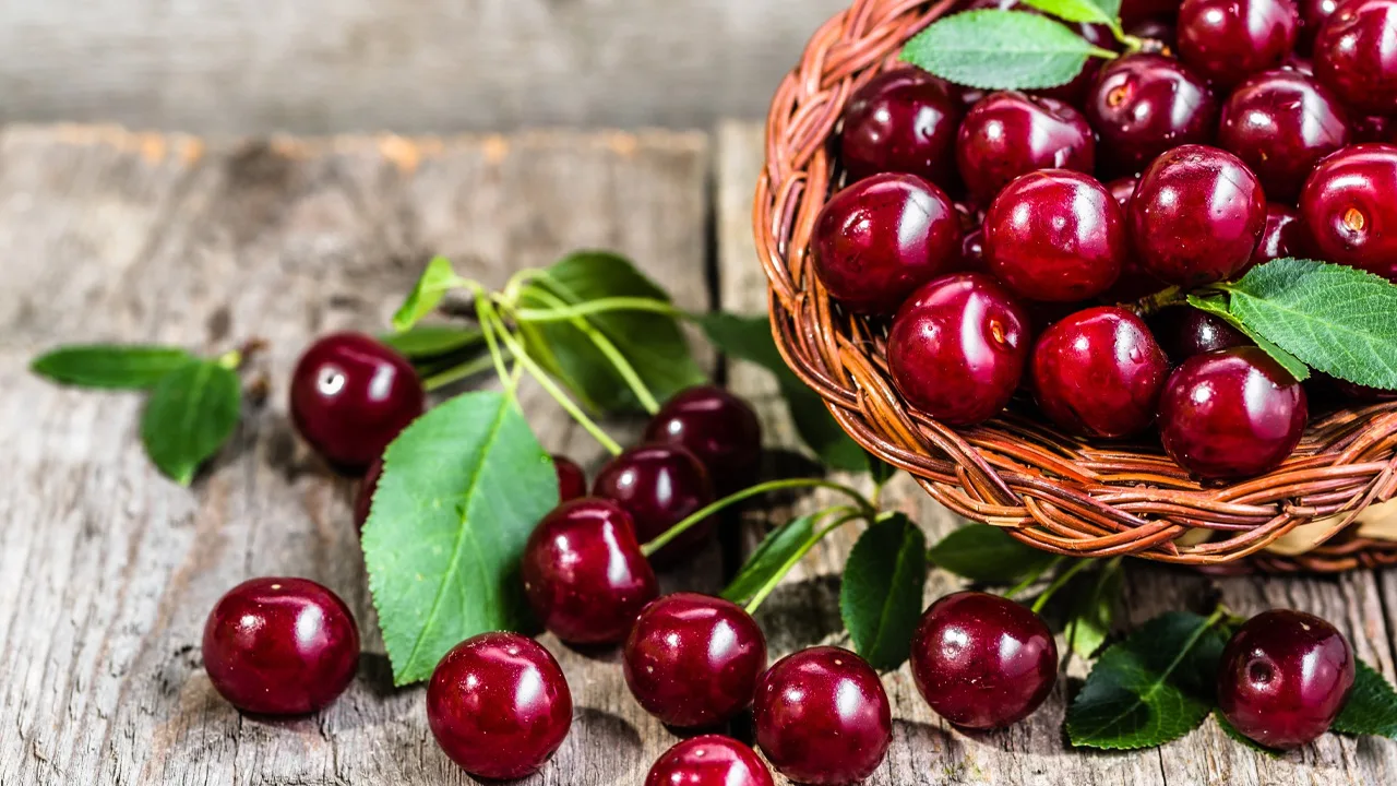 Kirsikka 2025: Maailmanlaajuinen tuotanto on siirtymävaiheessa, markkinat kasvavat