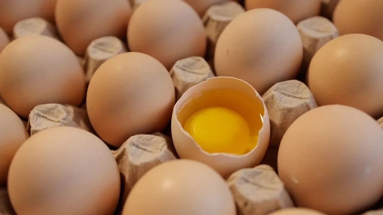 Mitkä ovat munankuoren uudelleenkäytön edut ja miksi sitä suositellaan?