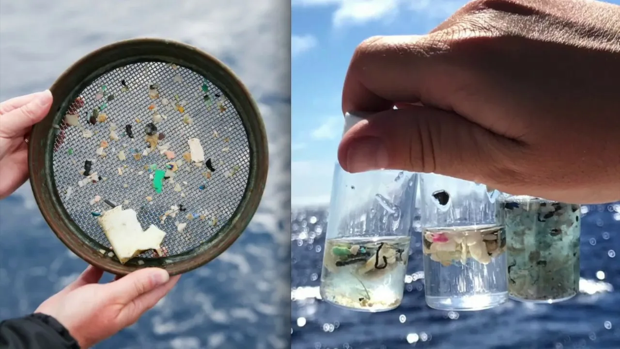 Auringonvalo muuttaa mikromuovit liuenneiksi epäpuhtauksiksi, jotka muuttavat vesiekosysteemien kemiallista koostumusta ja hiilipitoisuutta.