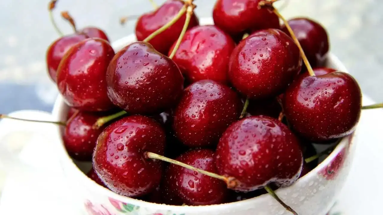 Kirsikka 2025: Maailmanlaajuinen tuotanto on siirtymävaiheessa, markkinat kasvavat