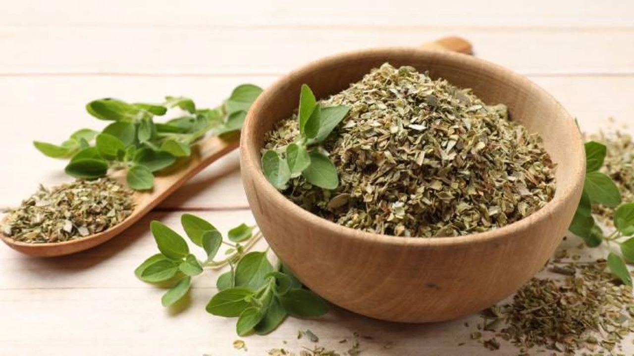 Miksi oreganoa suositellaan heitettäväksi viemäriin ja mitkä ovat sen edut?
