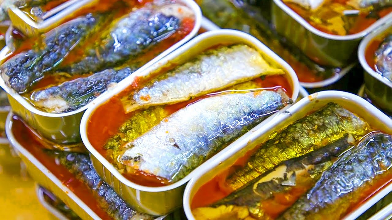 Se on sama kala, mutta sen ravintoarvo on erilainen: miksi tuoreiden sardiinien syöminen eroaa säilykkeiden syömisestä?
