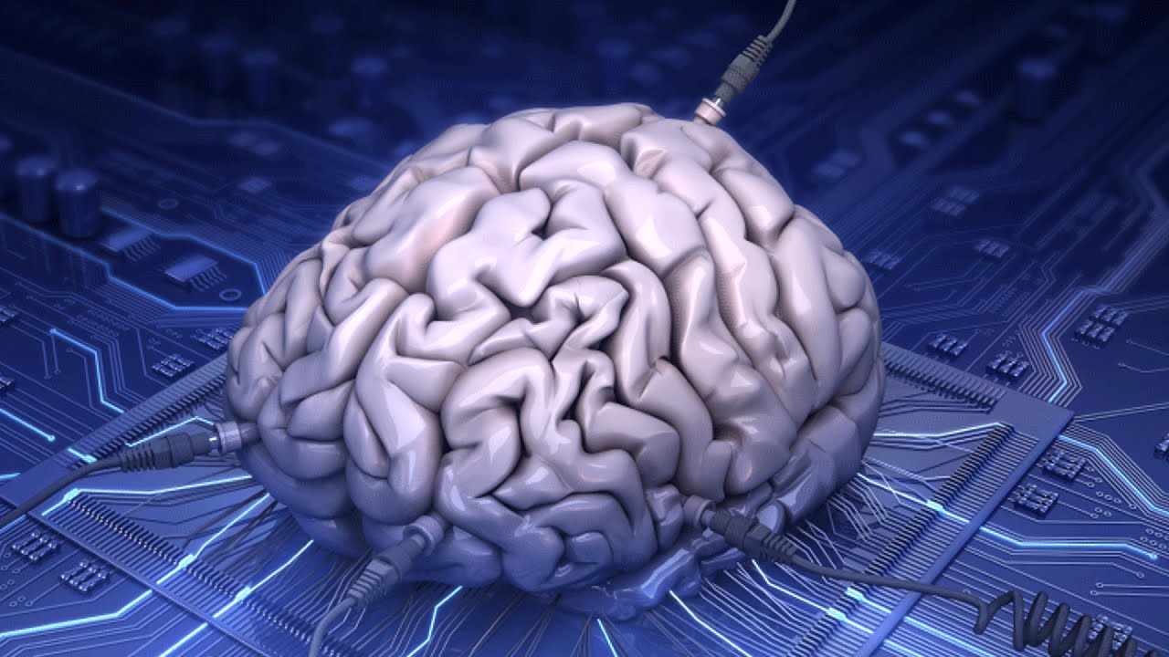 He tutkivat ihmisen aivoja ja löytävät kytkimen, joka aktivoi ”navigointijärjestelmän”.