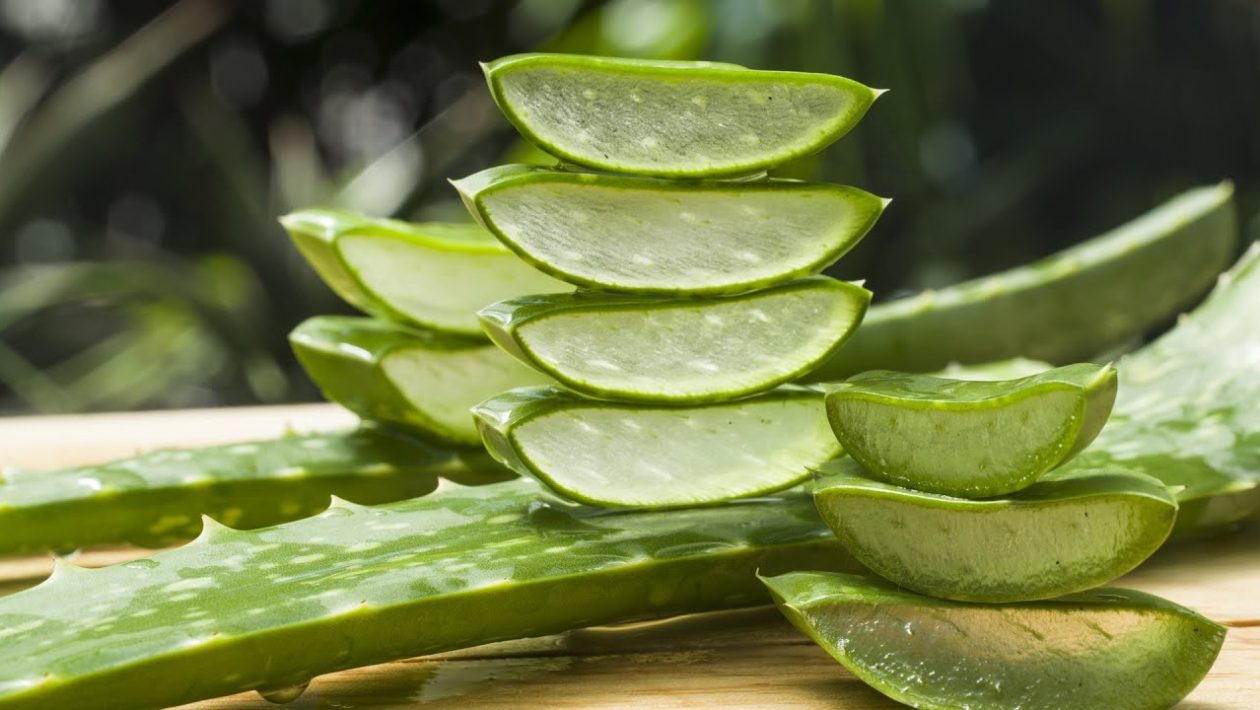 aloe