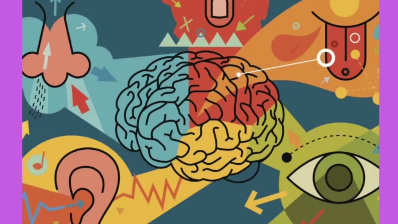 Tutkijat olettavat, että ihmisellä on paitsi klassiset aistit, myös kymmeniä muita aisteja.