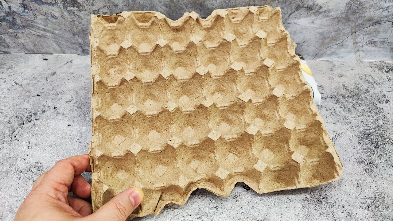 Spiraali ei enää tehoa: kuinka tehdä itse kartonkipakkauksesta munakoteloista hyönteiskarkotin