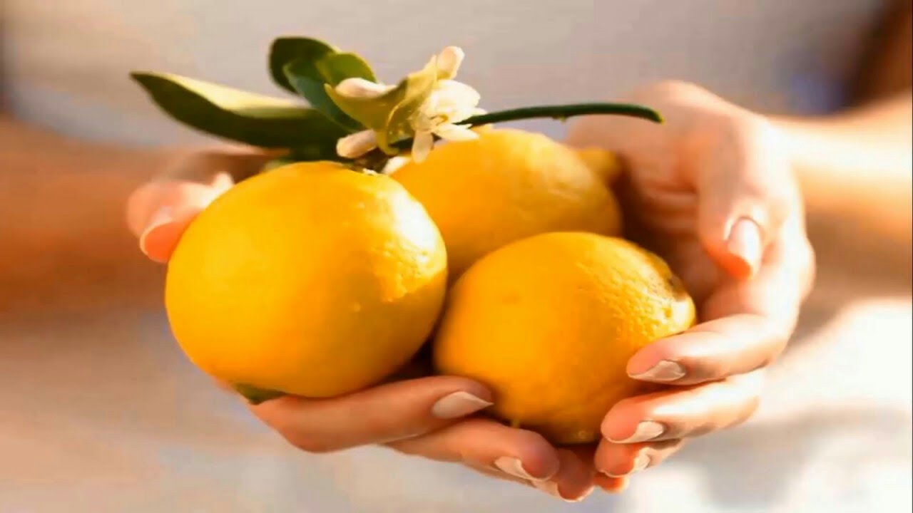 Älä heitä sitruunan siemeniä pois, ne ovat todellinen aarre: miten voit käyttää niitä uudelleen kasvien hoitoon.