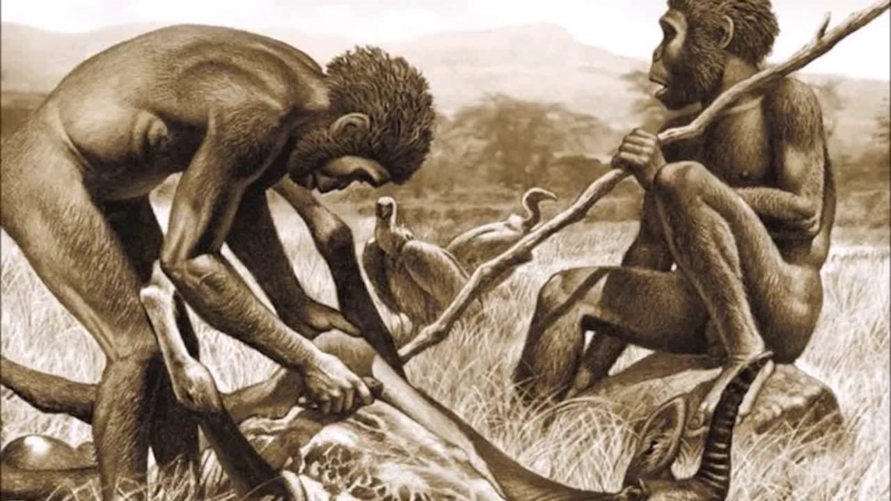 Arkeologiset löydöt kyseenalaistavat käsityksemme esihistoriallisten ihmisten ruokavaliosta.