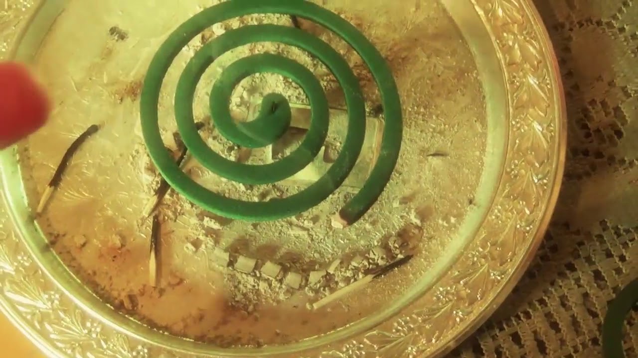 Kuinka tehdä itse moskiittospiraali muutamasta ainesosasta, jotta se karkottaa moskiitot kesällä.