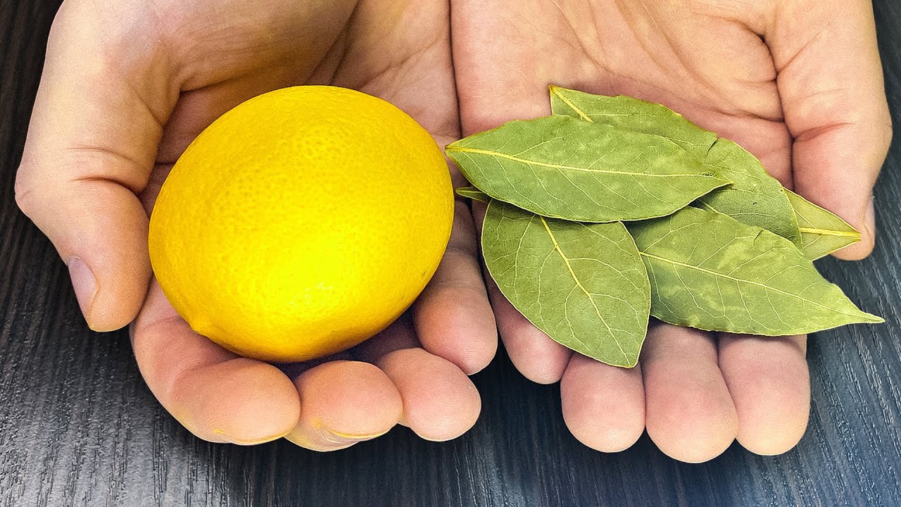 Sitruunankuoren, laakerinlehden ja rosmariinin keittäminen: miksi se on suositeltavaa ja mihin se on hyödyllistä.