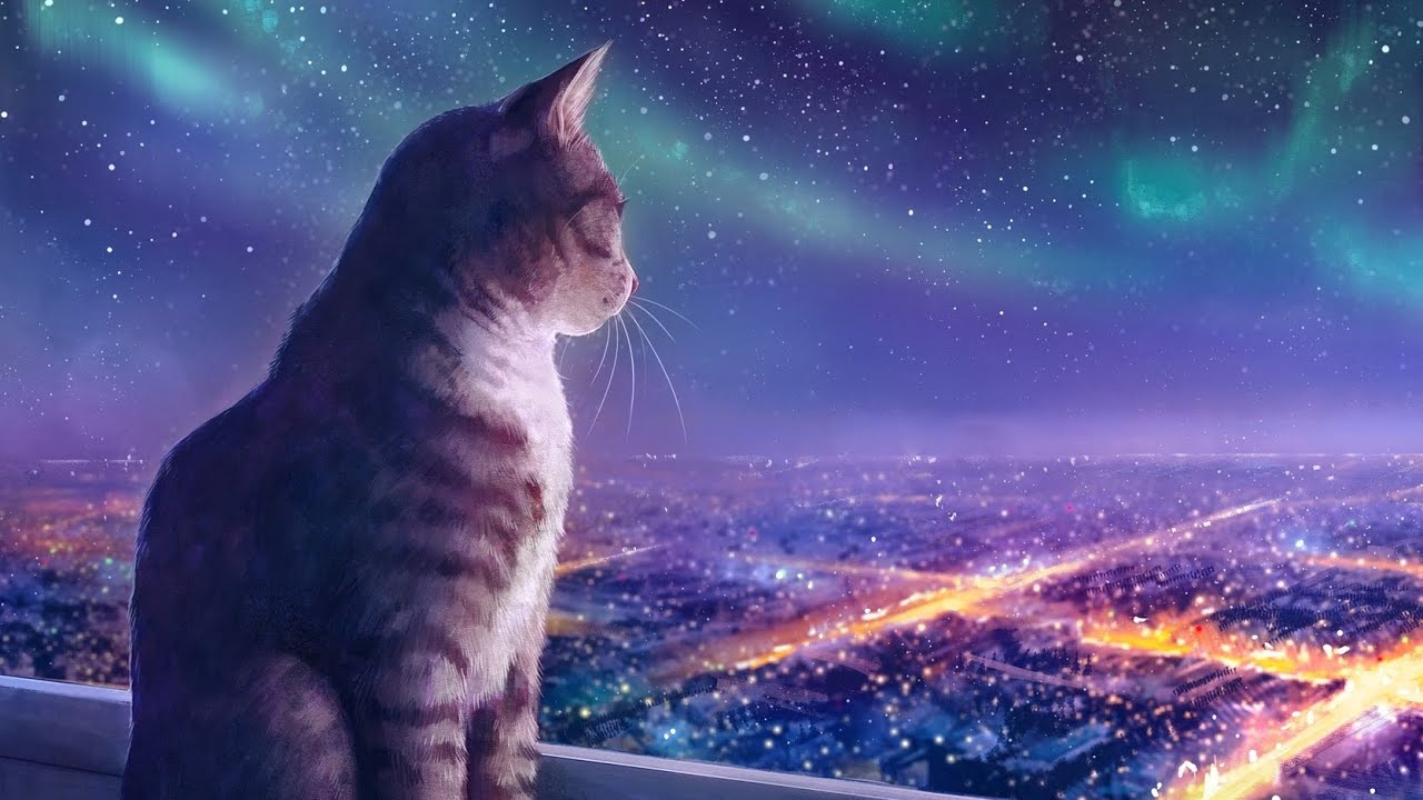 Kuinka estää koirani tai kissani ahdistus uudenvuodenyönä ilotulitteiden vuoksi?