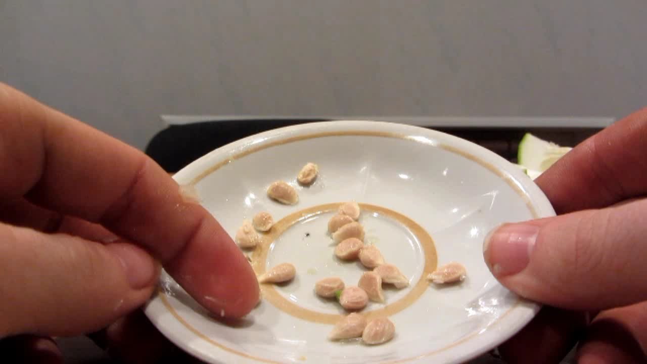 Älä heitä mandariinin siemeniä pois, ne ovat todellinen aarre: miten voit käyttää niitä uudelleen kasveissasi.