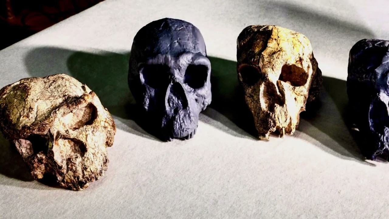 150 000 vuotta vanhan fossiilin löytäminen viittaa ”lohikäärme-ihmisen” olemassaoloon.