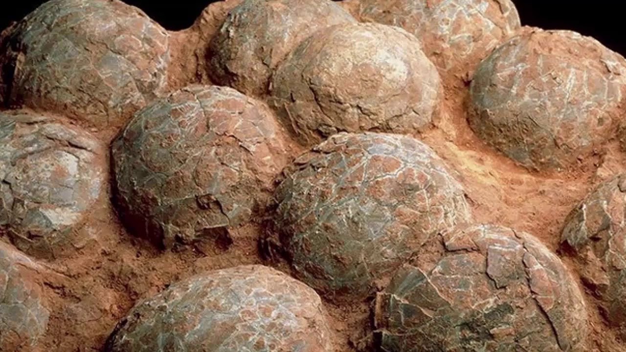 Tämä maa on tullut historiaan, kun sieltä löydettiin 15 metriä korkean titanosauruksen munat, jotka ovat 72 miljoonaa vuotta vanhoja.