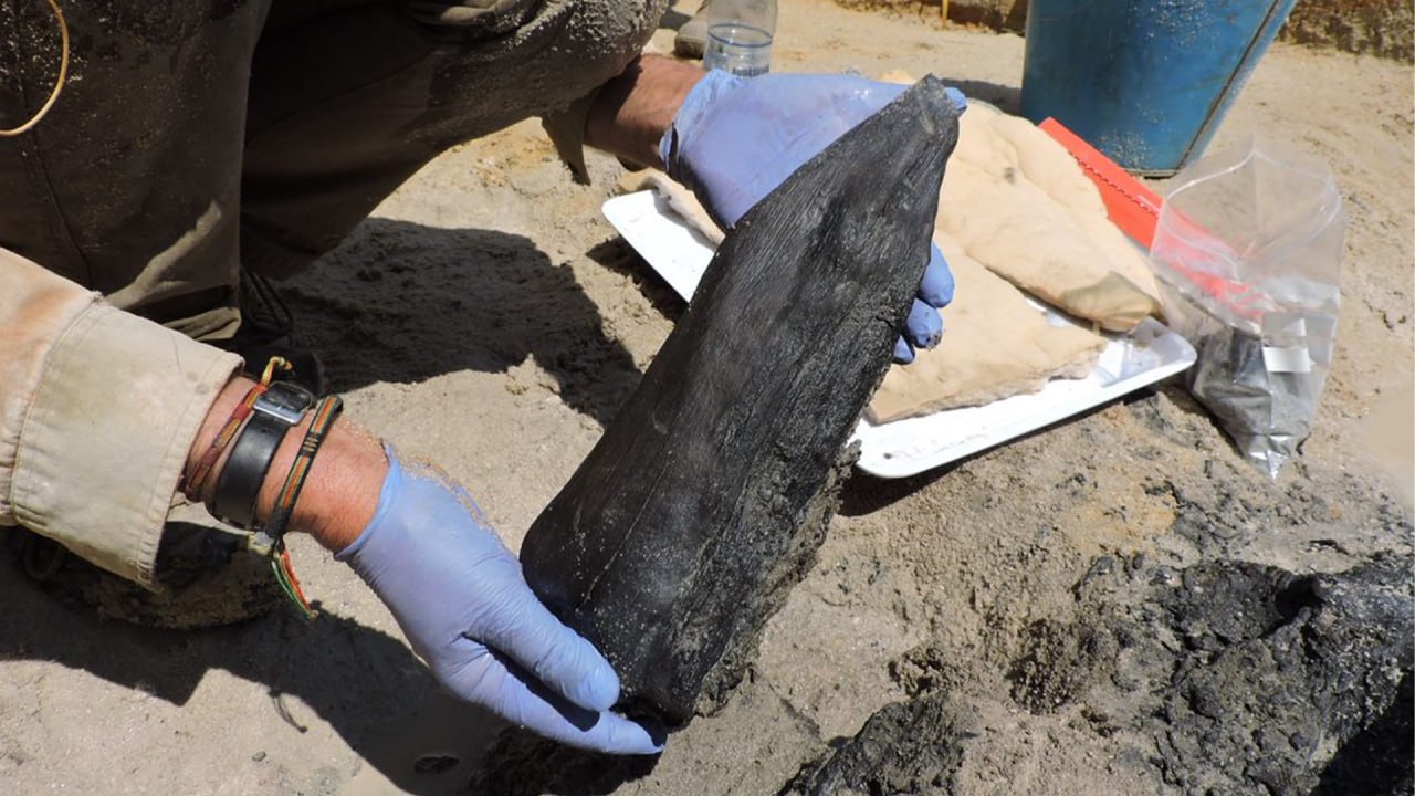 Vuosisadan löytö: yli 400 000 vuotta vanha puurakenne löydetty.