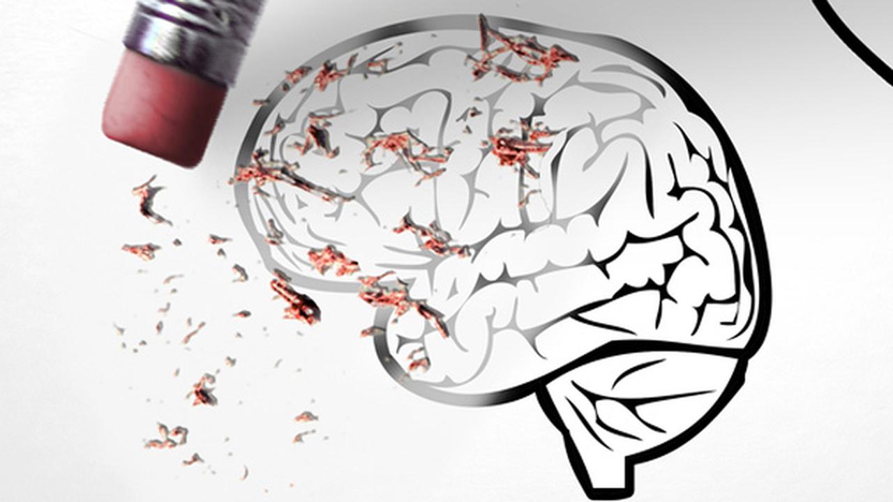 Aivot eivät unohda sattumalta: miten ne päättävät, mitkä muistot poistetaan