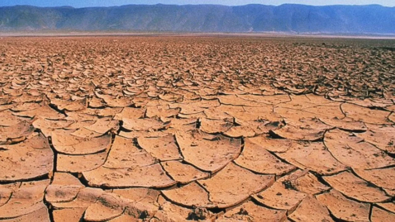 Saharan lämpötila nousi 70 °C:een, miljardeja puita kuoli, ja vain yksi menetelmä pystyi estämään elämän sukupuuttoon kuolemisen autiomaassa.