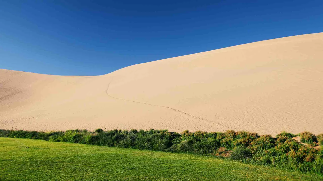 Kiina louhii tonneittain hiekkaa luodakseen metsän keskelle aavikkoa.