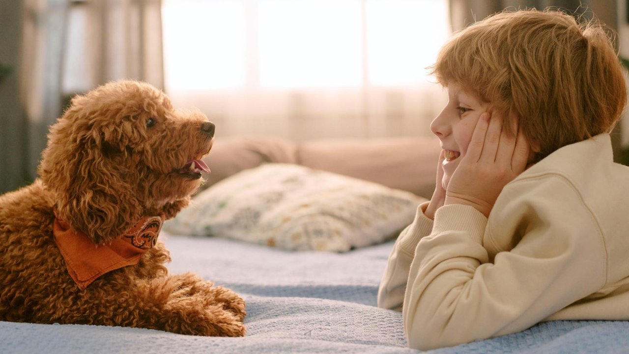 Aiemmin ajattelimme, että lemmikkieläimet korvaavat lapset. Tutkimukset kuitenkin osoittavat päinvastaista.