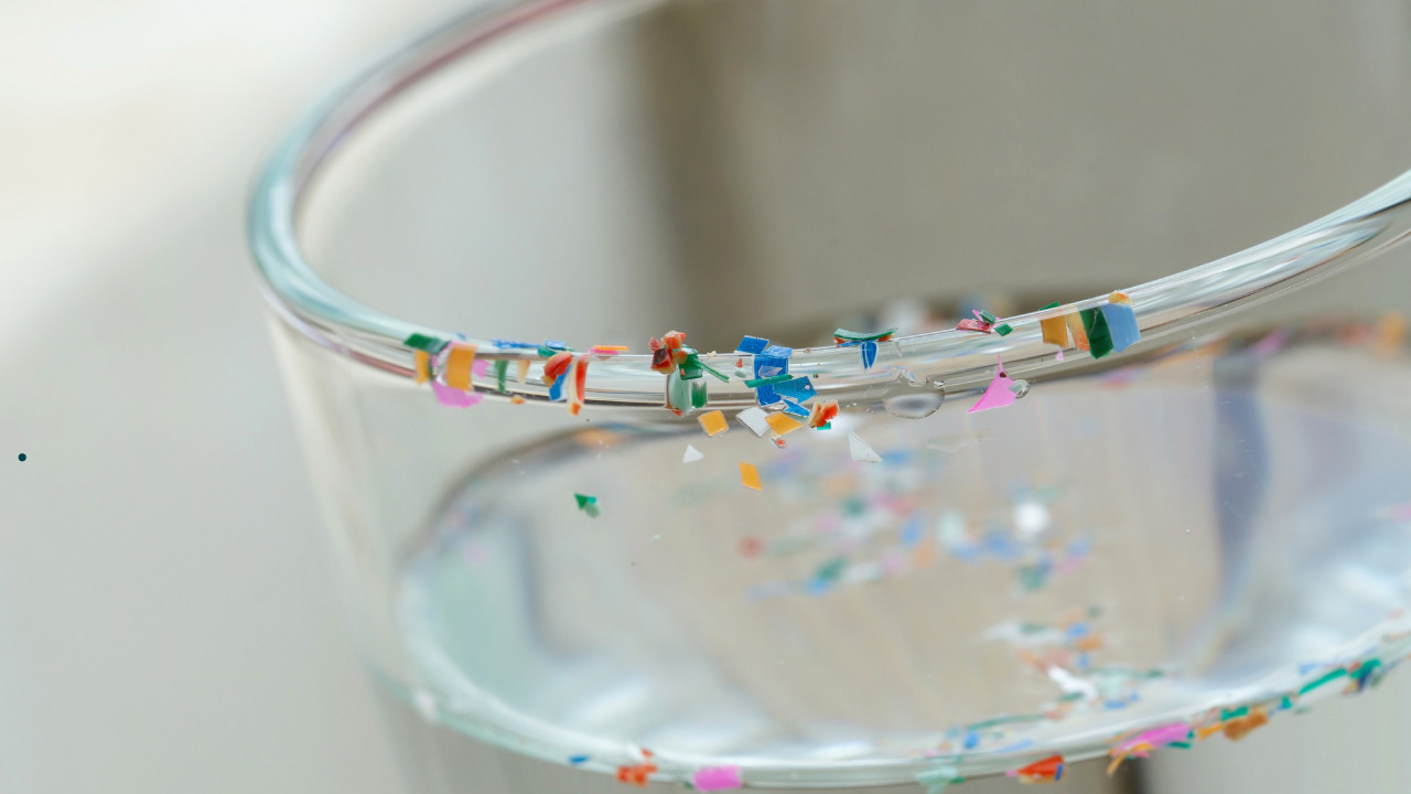 Sano hyvästit mikromuoville: tämä kalan muotoinen suodatin poistaa sen pesukoneesi vedestä.