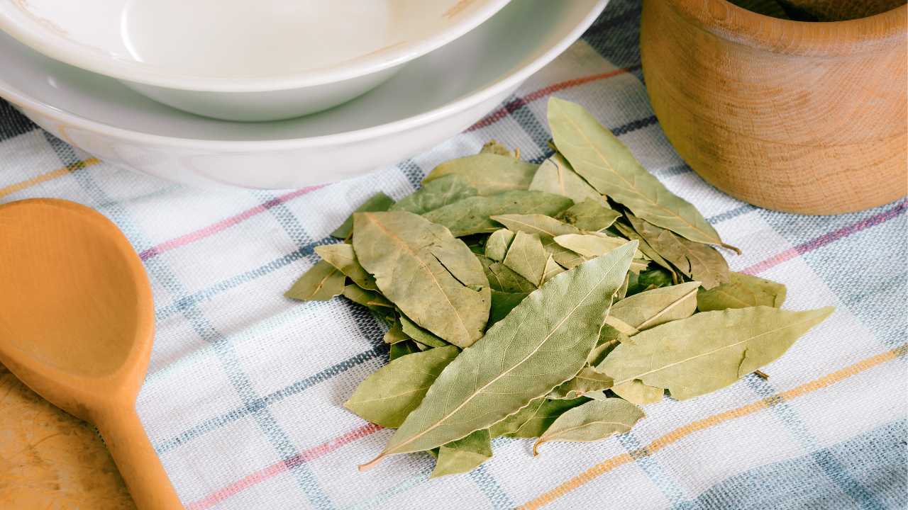 Miksi etikka ja laakerinlehti ovat korvaamaton apulainen päivittäisessä siivouksessa