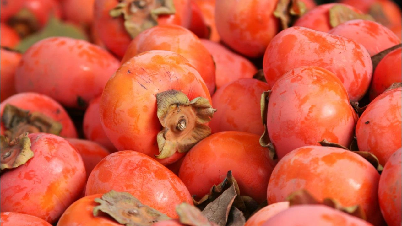 Kaki, tämä kausiluonteinen hedelmä, on hyödyllinen, koska se suojaa näköä, alentaa verenpainetta ja on hyvä energianlähde.