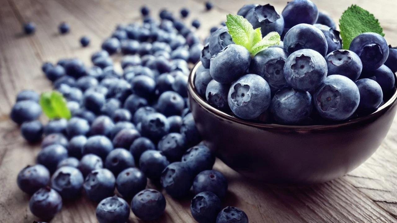 Maailmanlaajuinen mustikkaviljely vuonna 2025: ”sinisen renessanssin” vuosi