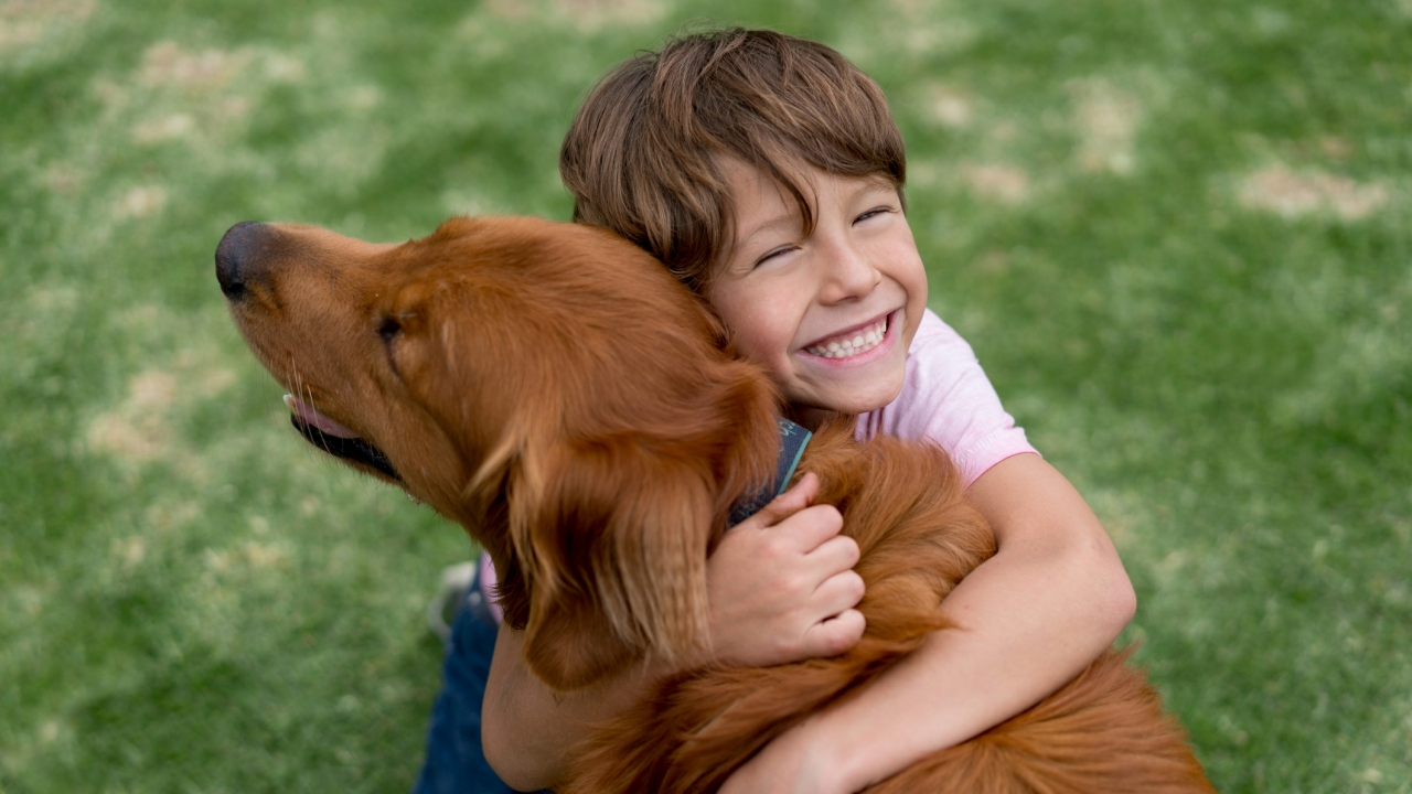 Psykologisesta näkökulmasta, mitä tarkoittaa puhua lemmikeille kuin he olisivat ihmisiä?