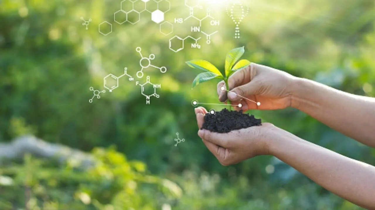 Se ei ole taikuutta, vaan tiedettä: tutkijat tutkivat, kuinka kasvit hajottavat auringonvaloa sadon parantamiseksi.